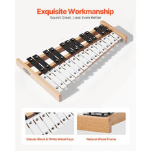 27-Note Glockenspiel Xylophone with Metal Keys, Mallets & Carrying Bag
