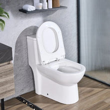Vortex Dual-Flush One-Piece Toilet 1.1/1.6 GPF Comfortable Chair Seat 12" Rough-In (Black & White)