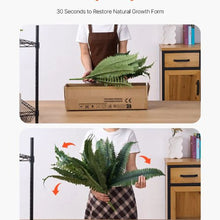 Green Branches Indoor Outdoor Decor Artificial Boston Ferns Plastic Fern (Pack of 2)