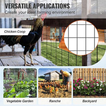 48 Inch x 50' Ft 16 Gauge Chicken Wire Fence Roll Chicken Coop Barrier Rabbit Snake Fences Poultry Enclosures Galvanized Wire Mesh Roll SS16234850