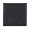 Leviton 2-Gang Blank Wallplate Black 80725-E