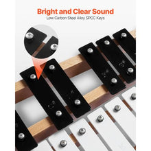 27-Note Glockenspiel Xylophone with Metal Keys, Mallets & Carrying Bag