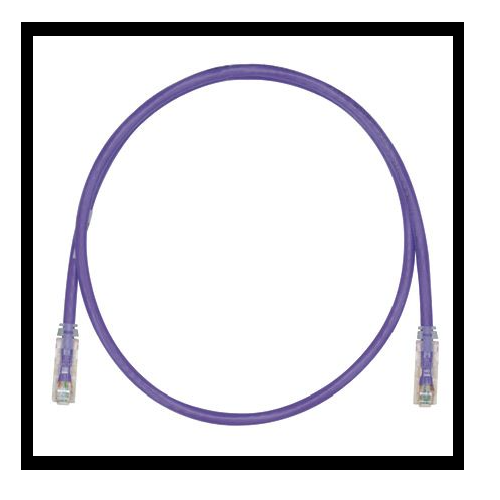 24 AWG Cat 6 UTP Copper 8FT Patch Cord Violet UTPSP8VLY