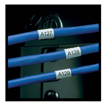 Thermal Transfer Non-Laminating Label N050X100CBT (Pack of 10000)