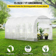 15×7×7 Ft  Portable Plant Hot House with Galvanized Steel Hoops Walk-in Tunnel Greenhouse