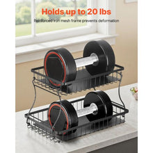 2 Layers Fruit Basket Bow  Stand Holder for Kitchen SYB-221