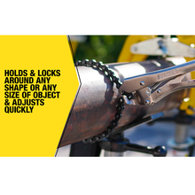20" Locking Chain Clamp LCCH20 (Pack of 6)
