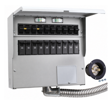 30A 10 Circuit Manual Transfer Switch With Meters A310C