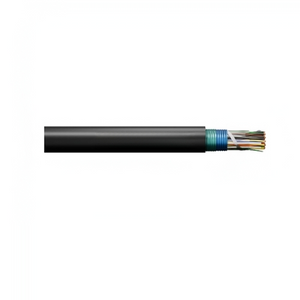 1800 Pair 24 AWG CASPIC-FSF Shielded Direct Burial Copper Cable Black 09-124-92 1000 ft Reel