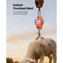 Digital Crane Scale Handheld Hanging Scale with Cast Aluminum Case & LCD Display Portable Design for Farm Hunting Fishing