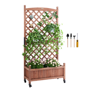 Garden Bed with Trellis