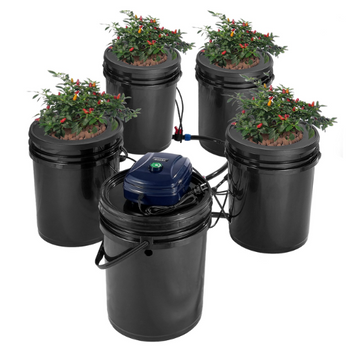 Hydroponics
