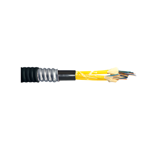 6 Fiber OFCP OM4 MM Indoor/Outdoor Interlock Armored TB Fiber Cable Black L4006PW01