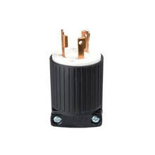 30A 125V Locking Plug L530P