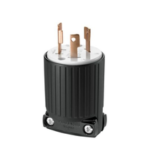30A 125V Locking Plug L530P