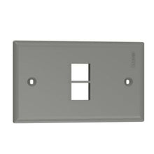 2 Port Single Gang Flush Mount Faceplate International Gray NK2FNIG