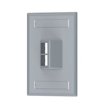 2 Port Horizontal Sloped Faceplate With Label Pocket International Gray NK2HSFIGY