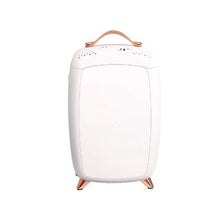 Compact 6L Luxury Cosmetic Refrigerator with LED Lighting Mirror for Skincare, Masks & Drinks