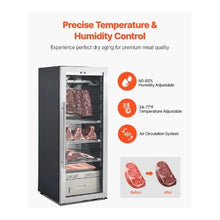 230 LBS Commercial Dry Aging Refrigerator for Meat & Steak with Temperature and Humidity Control