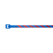 Nylon Standard Locking Cable Ties Blue With Red PLT1M-L6-2 (Pack of 50)