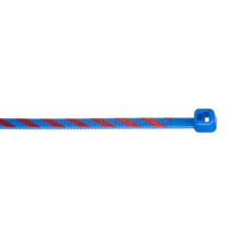 Nylon Standard Locking Cable Ties Blue With Red PLT1M-L6-2 (Pack of 50)