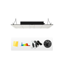 High Performance 400W Dimmable LED Grow Light for Seedling, Veg & Bloom Stages