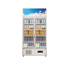 Double Door Commercial Display Refrigerator 23 Cu.Ft Upright Beverage Cooler with Glass Swing Doors and Interior LED Lighting