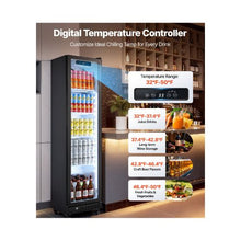 8.3 Cu.Ft Commercial Glass Door Display Refrigerator with Full-Height Design 5 Adjustable Shelves LED Interior Lighting and Casters for Stores Cafes, Bars & Home