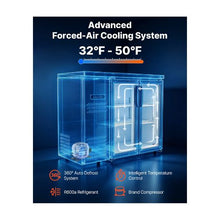 Commercial Double Doo Beverage Refrigerator, 11.8 Cu.Ft. Back Bar Display Cooler with Fan Cooling