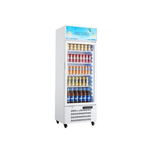 9.6 Cu.Ft Commercial Display Beverage Refrigerator with Glass Door LED Light Box Flexible Adjustable Shelves