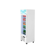 9.6 Cu.Ft Commercial Display Beverage Refrigerator with Glass Door LED Light Box Flexible Adjustable Shelves