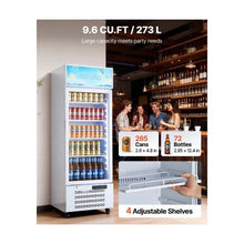 9.6 Cu.Ft Commercial Display Beverage Refrigerator with Glass Door LED Light Box Flexible Adjustable Shelves