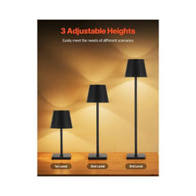 Modern Black Touch USB Rechargeable Accent Lamps With Bottle Adapter Detachable Shade Pair