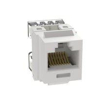 Category 5e Jack Module Standard Punchdown White NKP5E88MWH