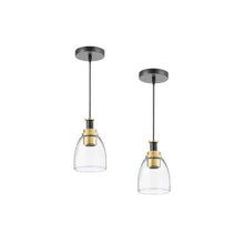 Adjustable Drop Pendant Lighting Fixture with Clear Modern Glass Shade Set of 2