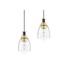 Adjustable Drop Pendant Lighting Fixture with Clear Modern Glass Shade Set of 2