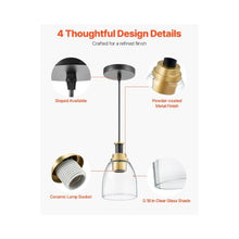 Adjustable Drop Pendant Lighting Fixture with Clear Modern Glass Shade Set of 2