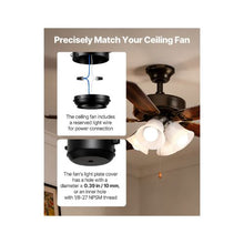 Replacement Ceiling Fan Light Kit Module Four Bulb Fixture with Pull Chain Control
