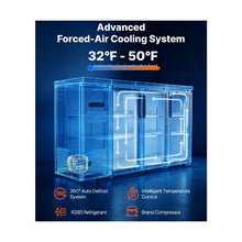 19.6 Cu. Ft. Commercial 3-Door Back Bar Cooler Refrigerator for Restaurant & Bar Beverage Display Cooler