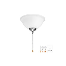 Indoor 2-Light Ceiling Fan Light Attachment Bowl Glass Shade with Pull Chain Brushed Nickel