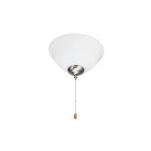Indoor 2-Light Ceiling Fan Light Attachment Bowl Glass Shade with Pull Chain Brushed Nickel
