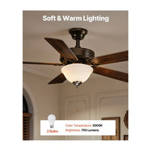 Indoor 2-Light Ceiling Fan Light Attachment Bowl Glass Shade with Pull Chain Brushed Nickel
