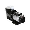 High Power Single Speed 2.5 HP Above Ground Swimming Pool Pump System