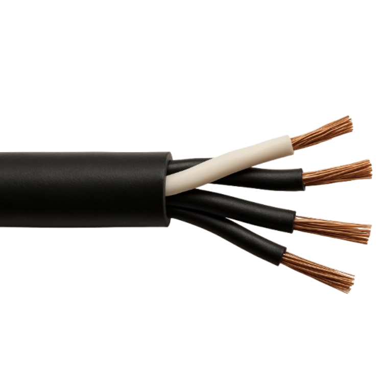 Close-up of a cable with black and white sheathing and copper wires on a white background