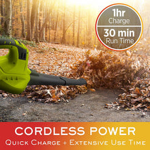 UltraStorm Cordless Leaf Blower - LB-570