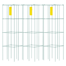 Tomato cage 3