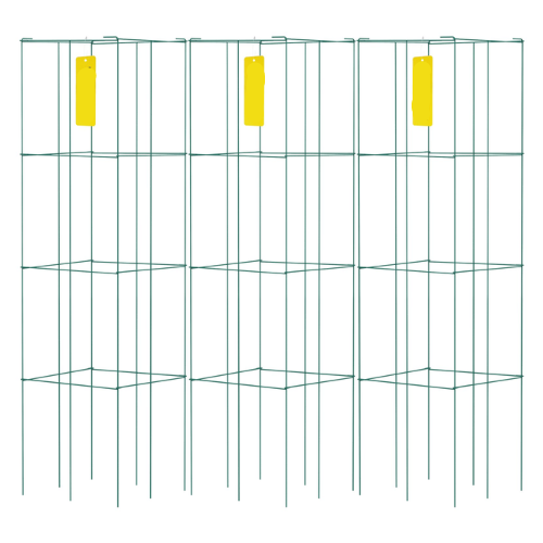 Tomato cage 3
