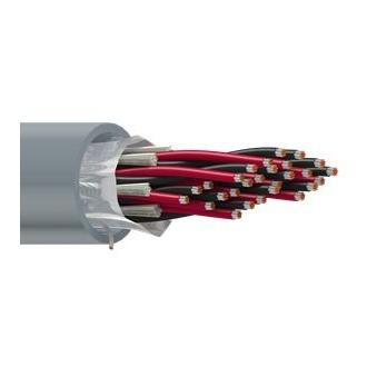 Belden 9521 22 AWG 11-Pair 300V Power-Limited Tray Cable