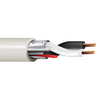 Belden 6100FE 14 AWG 2 Conductor 19x26 Stranding Bare Copper 300V Security and Sound Cable