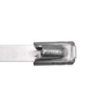 Stainless Steel Cable Tie (Pack of 100)